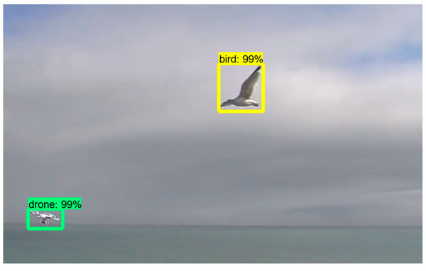 تصویر تمایز بین مرغ دریایی و کوادکوپتر فانتوم را نشان میدهد که در رادار مشخص شده است