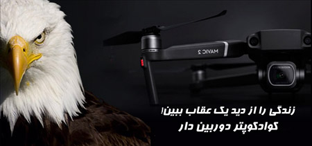 یک عقاب و یک کوادکوپتر دوربین دار در کنار هم 