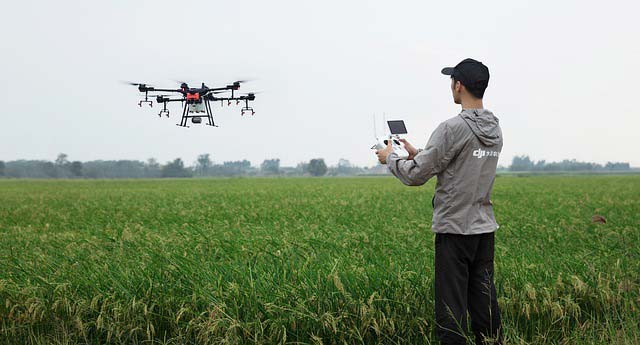 کوادکوپتر کشاورزی در حال پرواز بر فزار یک مزرعه و یک مرد در حال کنترل آن است
