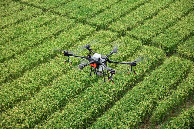 کوادکوپتر کشاورزی در حال پرواز بر فزار یک مزرعه تقسیم بندی شده